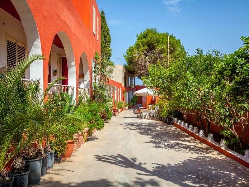 Una strada paradisiaca fiancheggiata da edifici arancioni e piante in vaso, perfetta per un'esperienza indimenticabile in B&B a Lampedusa.