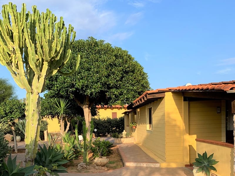 Una residenza gialla con un cactus di fronte.