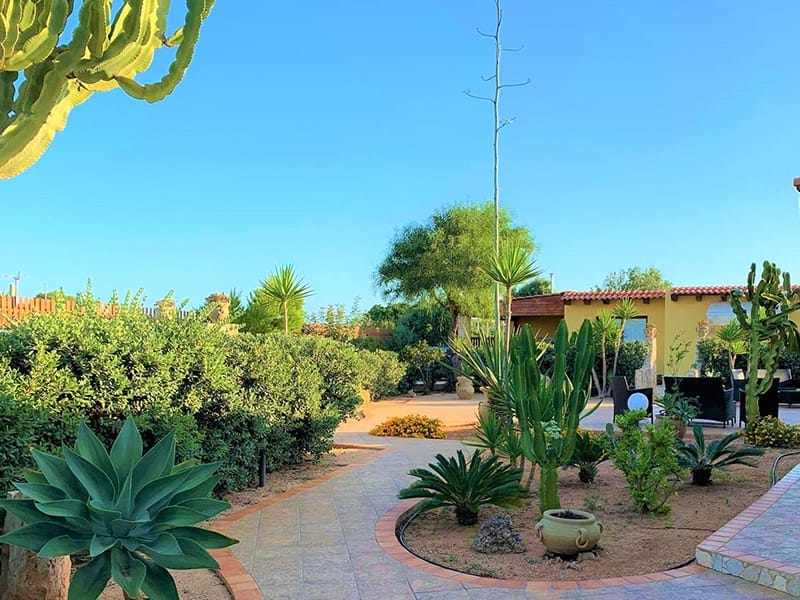 Un giardino con piante grasse e un vialetto al Residence Lampedusa.