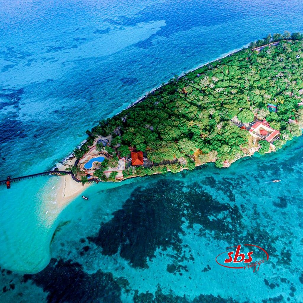 Un'isola con un molo in acqua, che propone il pacchetto viaggio a Zanzibar di SBS Viaggi.