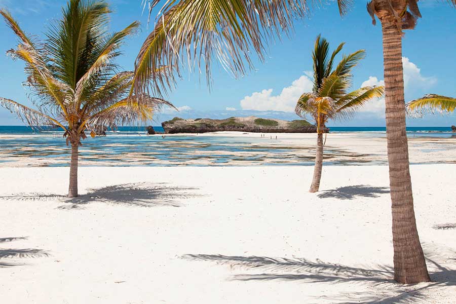 Una spiaggia di sabbia bianca con palme sullo sfondo al 7 Islands Resort.