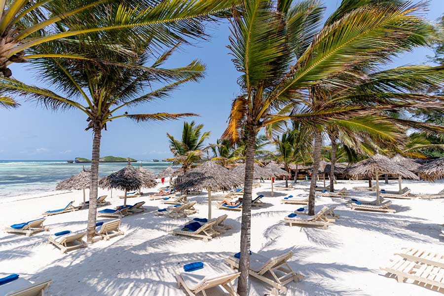 Una spiaggia resort con palme e sedie, immersa nell'ambiente tranquillo di 7 Isole.