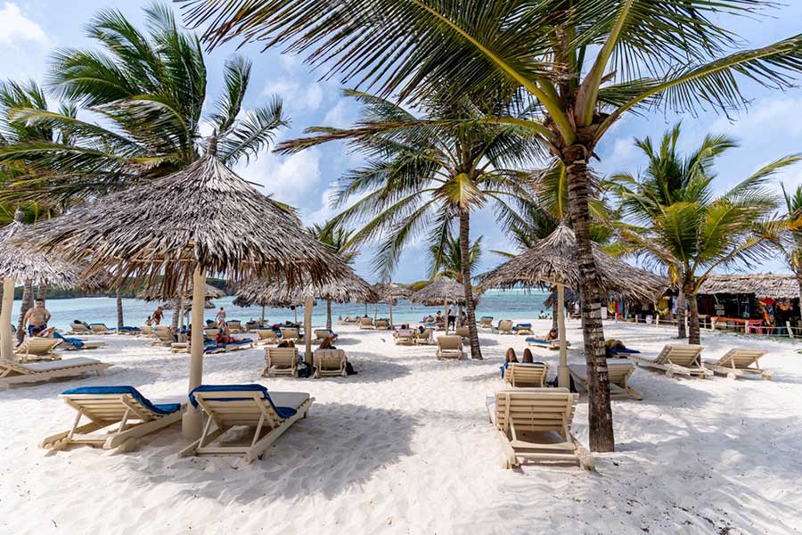 Una spiaggia al Seaclub con palme e sedie.