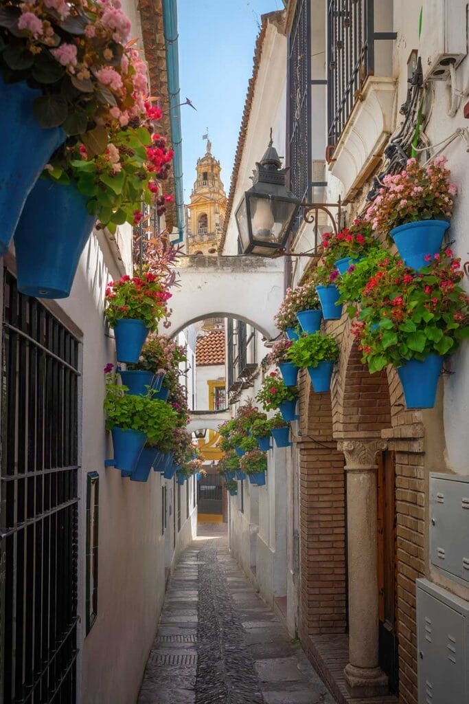 Tour dell'Andalusia: esplora uno stretto vicolo con vasi di fiori appesi al soffitto.