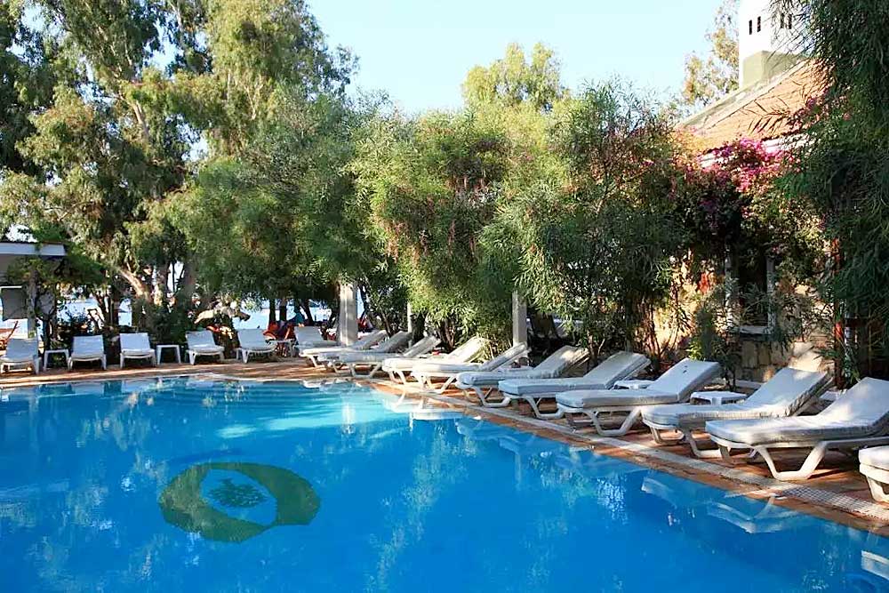 La piscina all'aperto dell'Hotel Okaliptus circondata da sedie a sdraio, con vegetazione lussureggiante e piante fiorite, che riflette una giornata di sole a Mare Bodrum.