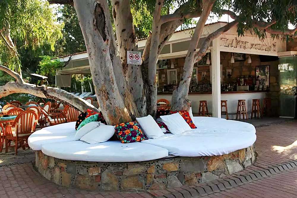Una panca rotonda in pietra con cuscini colorati attorno a un grande albero fuori dall'Hotel Okaliptus, con sedie e tavoli in legno sotto un cielo soleggiato.