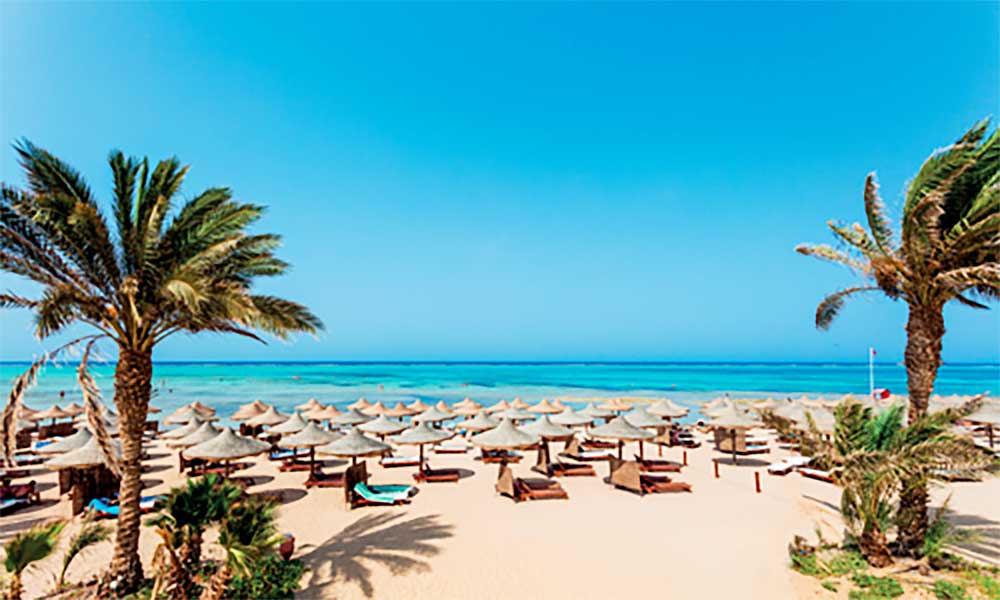 Un resort sulla spiaggia tropicale nel Villaggio Mar Rosso, con file di lettini sotto ombrelloni di paglia, fiancheggiati da palme contro un cielo azzurro e limpido.