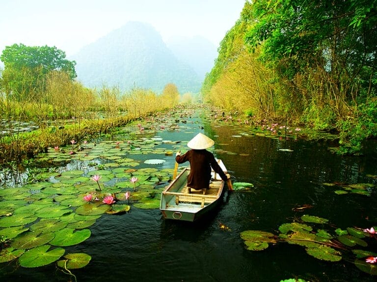Una persona con un cappello conico rema su una piccola barca attraverso un fiume nebbioso circondato da una vegetazione lussureggiante e ninfee, catturando l'essenza del turismo vietnamita.