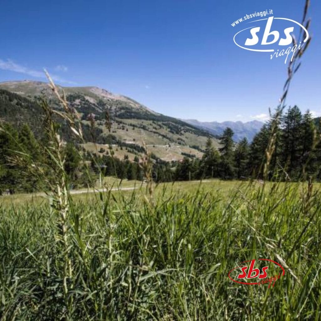 Un prato erboso con un paesaggio montano sullo sfondo sotto un cielo azzurro terso, che evoca la bellezza paesaggistica del TH Sestriere. Il logo di 