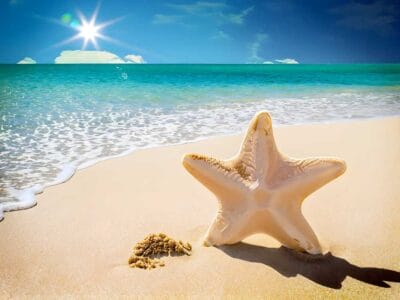 Una stella marina riposa su una spiaggia sabbiosa vicino al bordo dell'acqua, mentre il sole splende luminoso in un cielo limpido sopra un mare turchese, ricordando la Bozza automatica nella sua serena perfezione.