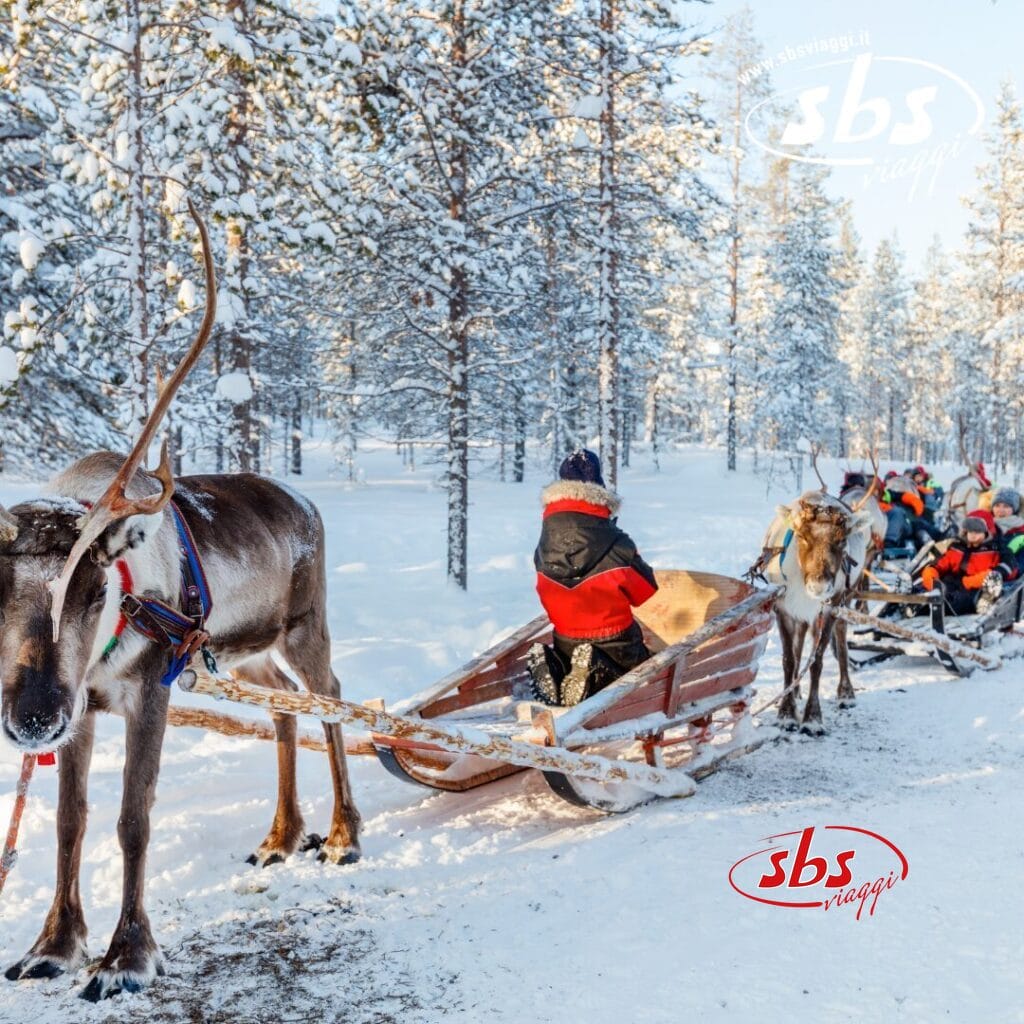 Persone che si godono un giro in slitta trainata da renne attraverso una foresta innevata nella Lapponia finlandese, dove la serena bellezza dell'inverno rende l'esperienza indimenticabile.