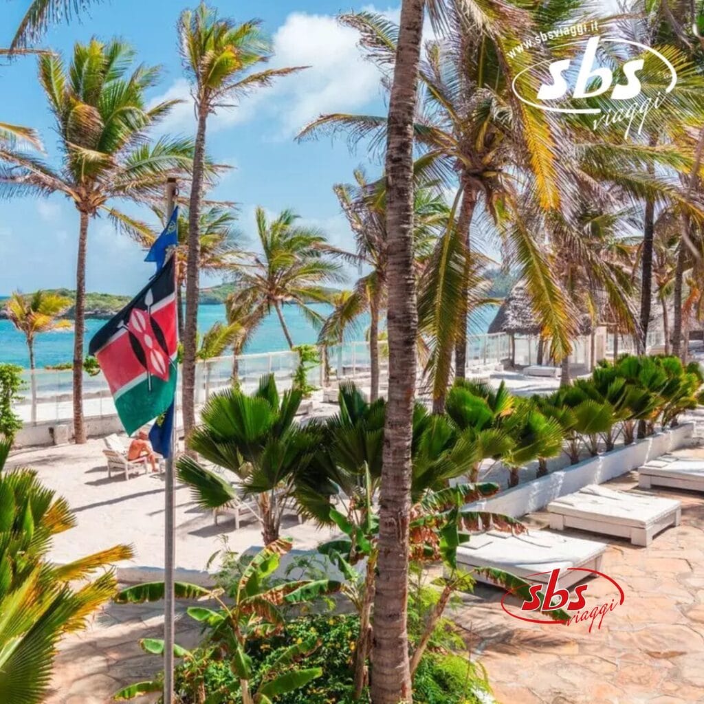 Le palme costeggiano la spiaggia del Barracuda Inn con sedie a sdraio che invitano al relax. Una bandiera con i colori rosso, verde, nero e bianco aggiunge un fascino vibrante. L'oceano luccica sullo sfondo sotto cieli limpidi in questa perfetta destinazione balneare.