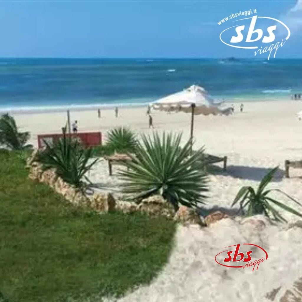 Spiaggia sabbiosa con piante verdi in primo piano, ombrelloni e persone in lontananza. Sono visibili le onde del mare e un cielo azzurro terso.