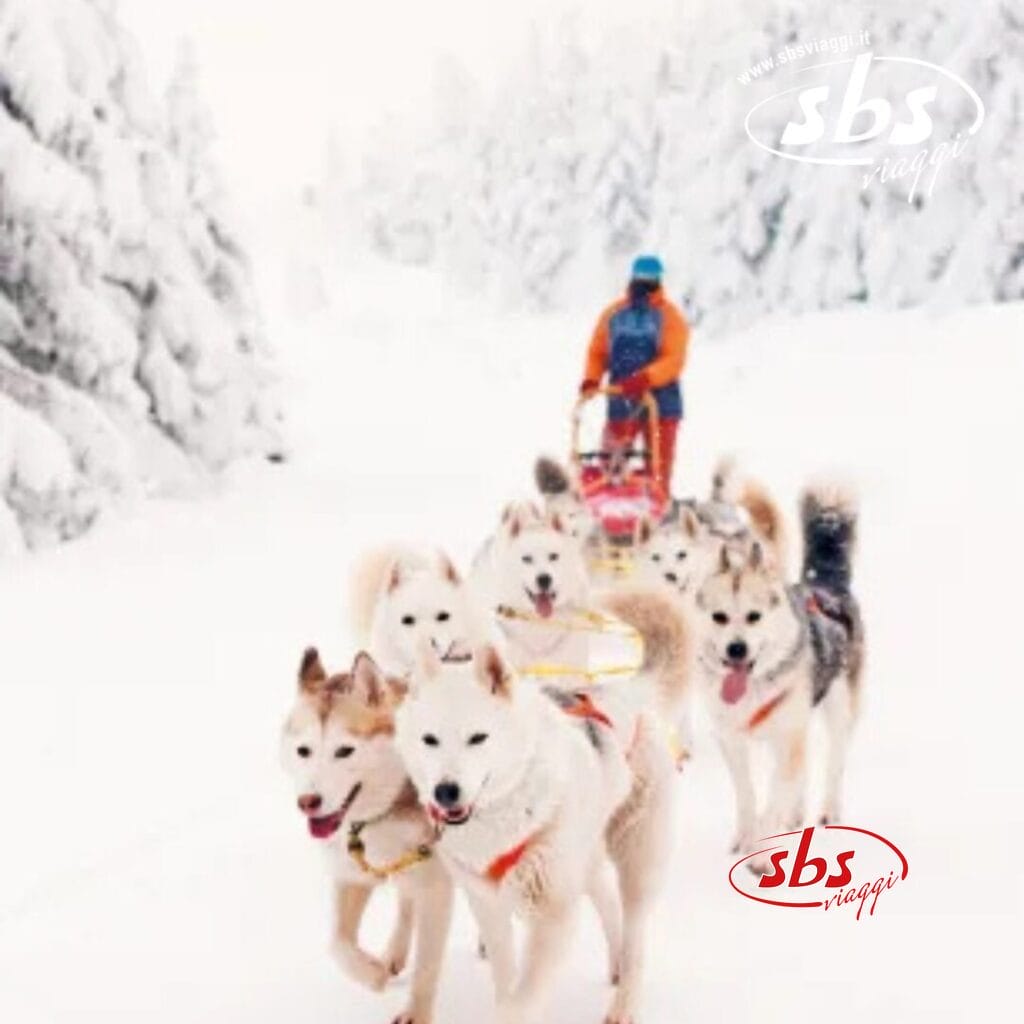 Una squadra di cani da slitta traina una slitta attraverso il paesaggio innevato di Tromsø, guidata da una persona vestita con abiti colorati, sotto l'incantevole luce dell'aurora boreale.