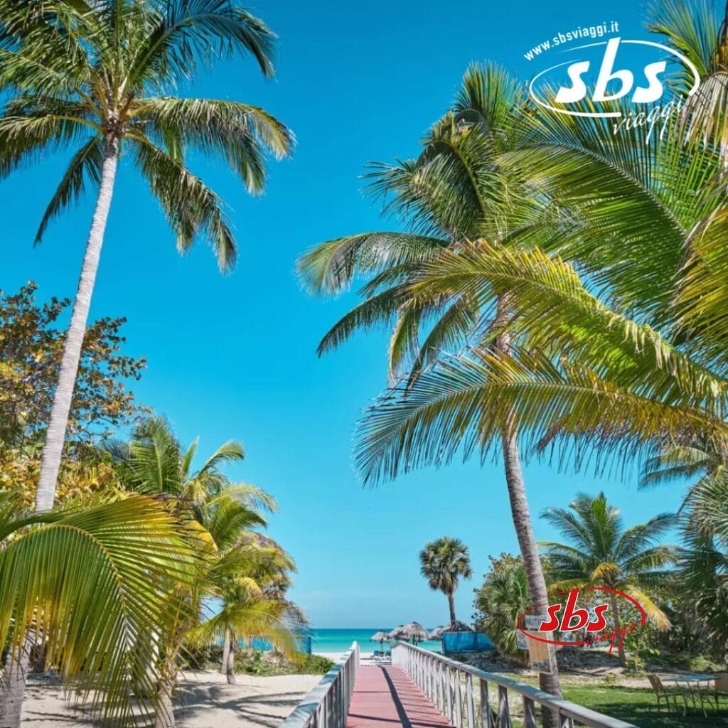 Si dipana una scena di spiaggia tropicale con palme che costeggiano un sentiero che conduce al mare, mentre Bozza Automatica disegna cieli azzurri e ombrelloni in lontananza in perfetta armonia.