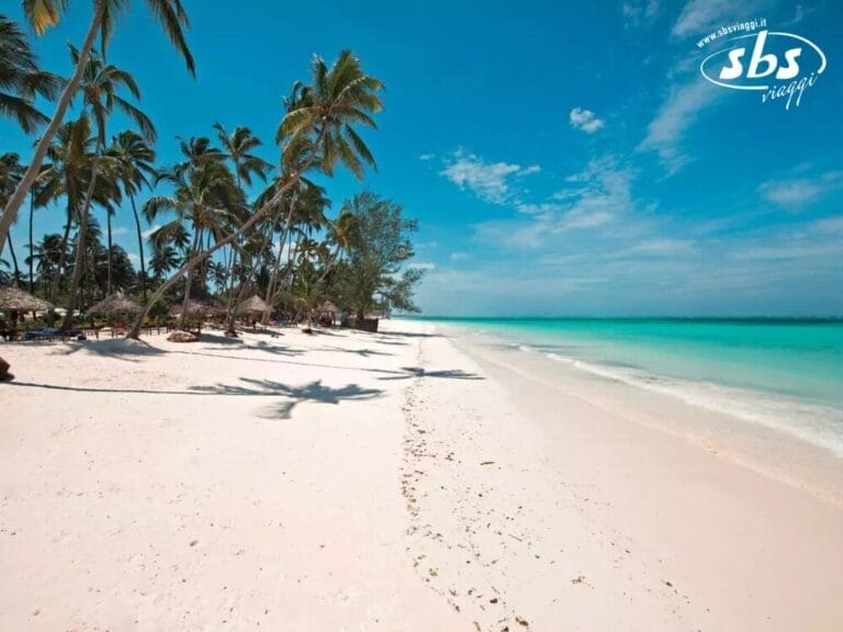 Scoprite la scena della spiaggia tropicale di Bahari, dove la sabbia bianca incontra l'acqua turchese e le palme ondeggiano sotto un cielo azzurro e limpido. Perfetto per chi cerca una fuga tranquilla con i comfort del Seaclub.