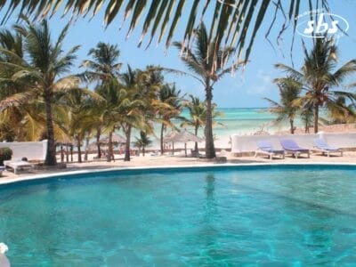 Una vista tropicale a bordo piscina al Jumbo Resort presenta palme che si affacciano su una spiaggia e un oceano turchese. Le sedie a sdraio sono posizionate perfettamente vicino alla piscina.