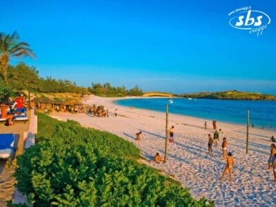 Una scena serena di Palm Beach con persone che prendono il sole, giocano a pallavolo e si rilassano sotto gli ombrelloni. L'oceano è calmo e il cielo è azzurro terso, creando un'atmosfera da resort perfetta.