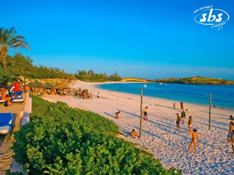 Una scena serena di Palm Beach con persone che prendono il sole, giocano a pallavolo e si rilassano sotto gli ombrelloni. L'oceano è calmo e il cielo è azzurro terso, creando un'atmosfera da resort perfetta.