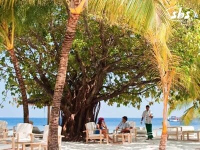 Persone sedute sotto un grande albero vicino ad Athuruga Beach con foglie di palma in primo piano. Una persona in uniforme cammina lì vicino, aggiungendo un tocco di serenità all'atmosfera di questo rifugio sul mare.