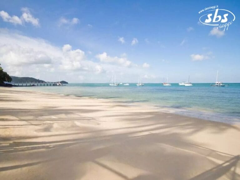 Una spiaggia tranquilla con sabbia liscia, ombre di palme e diverse barche a vela che scivolano sul calmo oceano azzurro sotto un cielo parzialmente nuvoloso creano una scena simile a una bozza automatica, una bozza creata senza sforzo dalla natura.