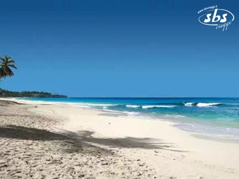 Una spiaggia sabbiosa con acqua azzurra e limpida e una palma solitaria sotto un cielo terso, elegantemente impreziosita dal logo SBS Viaggi nell'angolo in alto a destra; è come un'esplosione di serenità paradisiaca.