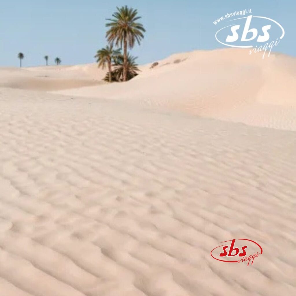 Un paesaggio desertico con dune di sabbia e qualche palma sotto il cielo terso e azzurro di Hammamet. Il logo 