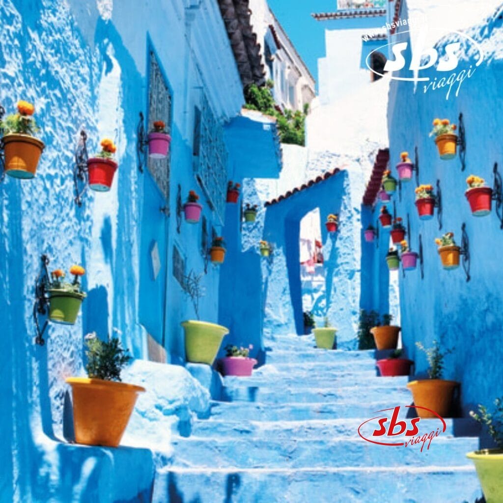 Nell'incantevole medina del Nord del Marocco, un vicolo azzurro decorato con colorati vasi di fiori sui muri e sui gradini si snoda sotto un cielo limpido, ricordando la splendida Città Imperiali.