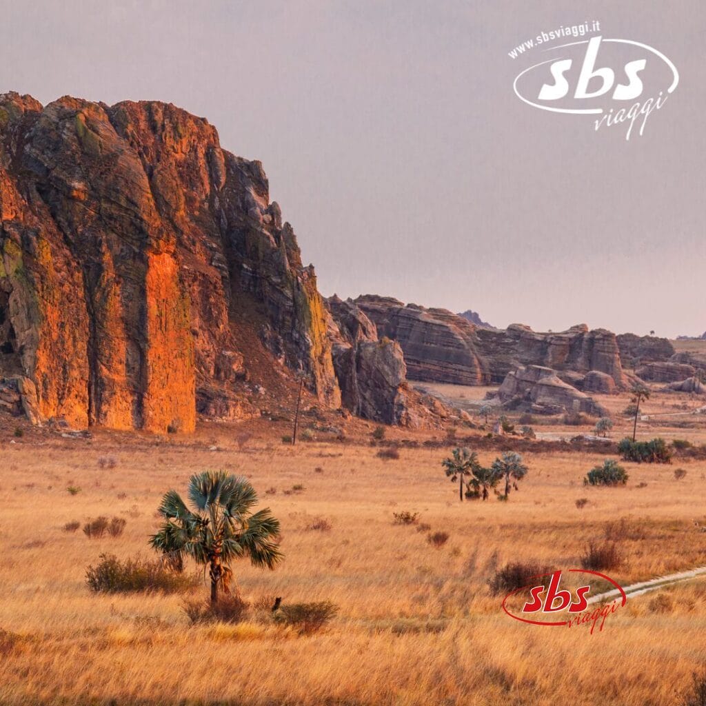 Affioramenti rocciosi si ergono su una pianura erbosa con palme sparse sotto un cielo limpido, evocando lo spirito d'avventura del Madagascar. L'immagine presenta un logo per 