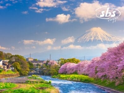 I fiori di ciliegio adornano la riva di un fiume, con il Monte Fuji che si erge maestoso sotto il cielo azzurro. Il logo "sbs viaggi" si trova nell'angolo in alto a destra. Se potessi fornire maggiori dettagli, Bozza automatica potrebbe adattare meglio l'esperienza alle tue esigenze.