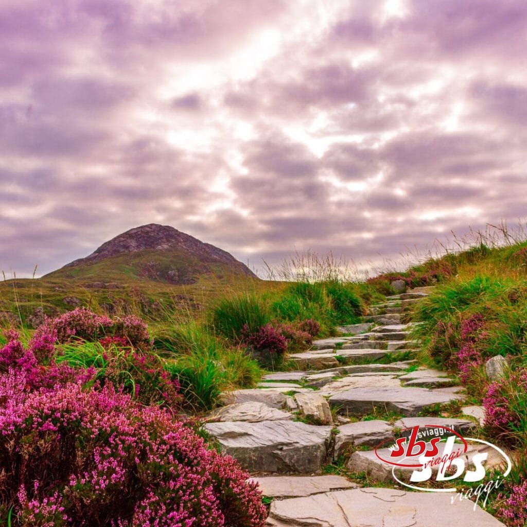 Un sentiero in pietra si snoda tra l'erba verde e l'erica viola verso una collina sotto il nuvoloso Cielo d'Irlanda; nell'angolo appare il logo
