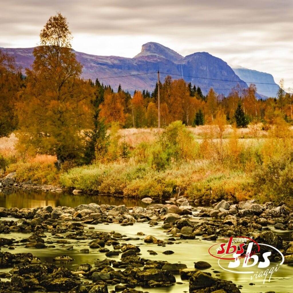 Un fiume con rocce scorre attraverso un paesaggio autunnale in Norvegia, con alberi colorati e montagne sotto un cielo nuvoloso. Il logo
