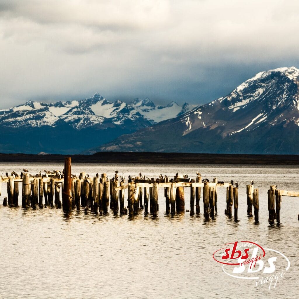 Pali di legno invecchiato con uccelli appollaiati si ergono in acque calme, incorniciati da montagne innevate e cieli nuvolosi in Patagonia.