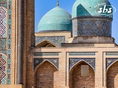 Primo piano di una moschea decorata in Terra di Tamerlano, con cupole in mosaico blu e portali ad arco, impreziositi da intricati motivi di piastrelle e mattoni.