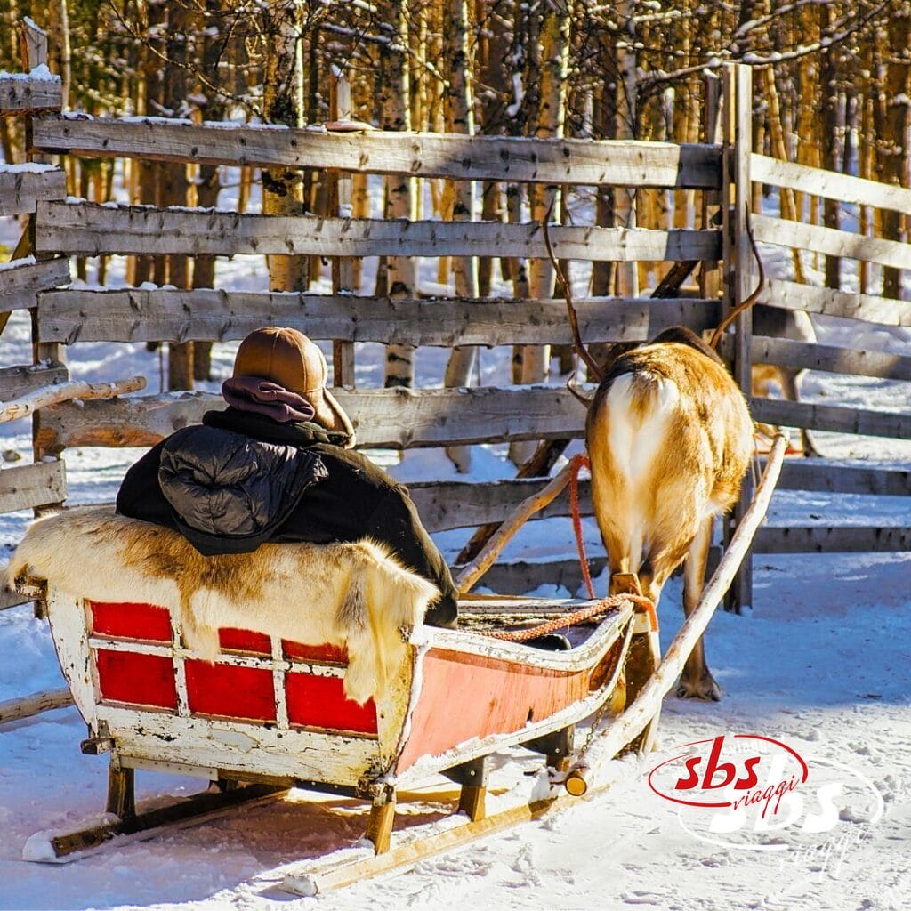 Una persona è seduta su una slitta di legno rossa trainata da una renna sulla neve, vicino a una staccionata di legno e ad alcuni alberi, e sta vivendo la magia dell'Incanto Boreale.