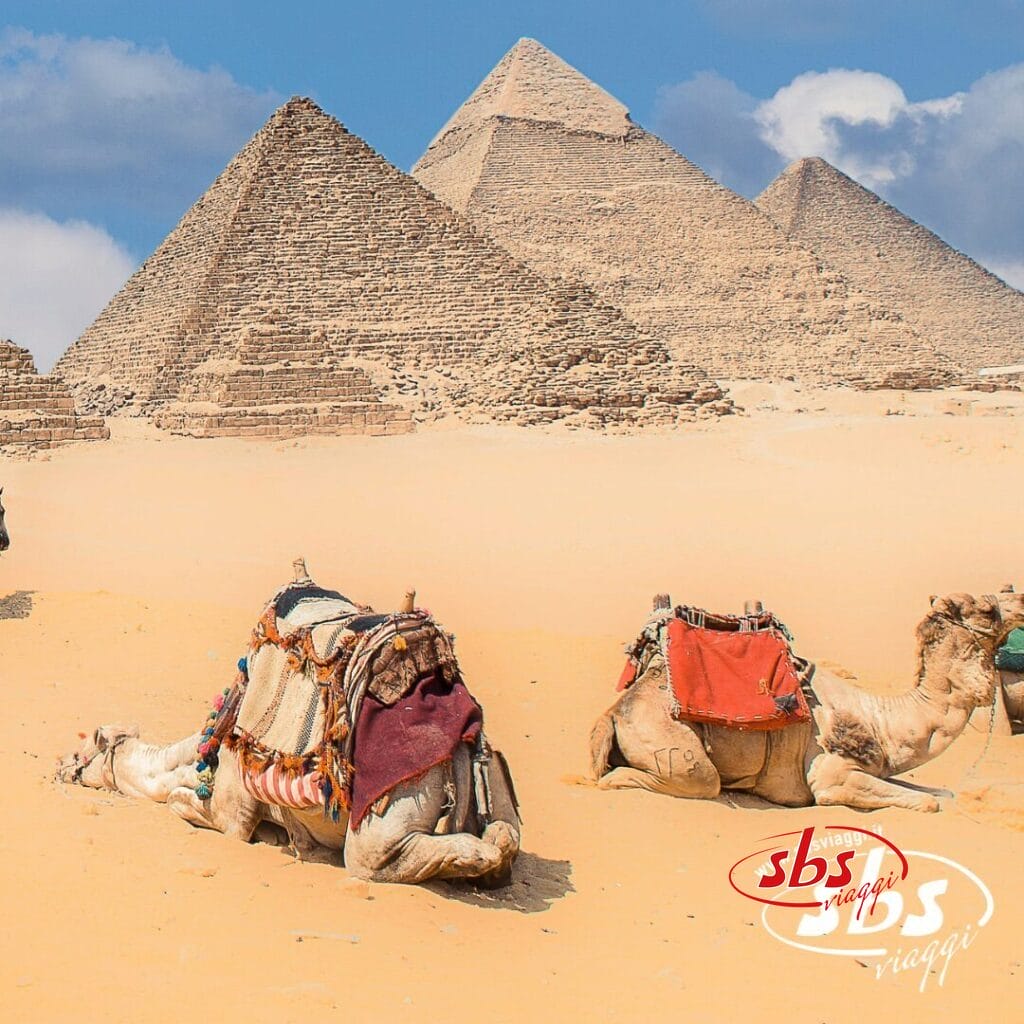 Due cammelli riposano sulla sabbia con le Piramidi di Giza sullo sfondo sotto un cielo azzurro, evocando la bellezza senza tempo dell'Egitto e il suo iconico paesaggio del Nilo.