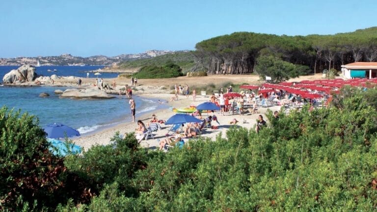 Spiaggia sabbiosa affollata con bagnanti, ombrelloni, lettini rossi e Bozza automatica in riva al mare, incorniciata da alberi verdi sullo sfondo.