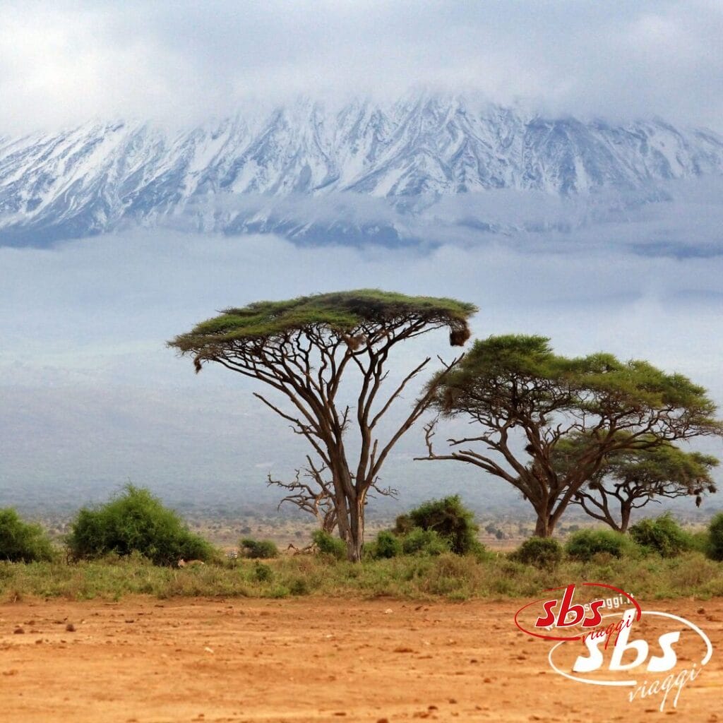 Gli alberi di acacia dalla chioma piatta punteggiano la savana di Amboseli, con una montagna innevata che si erge sullo sfondo sotto un cielo nuvoloso.