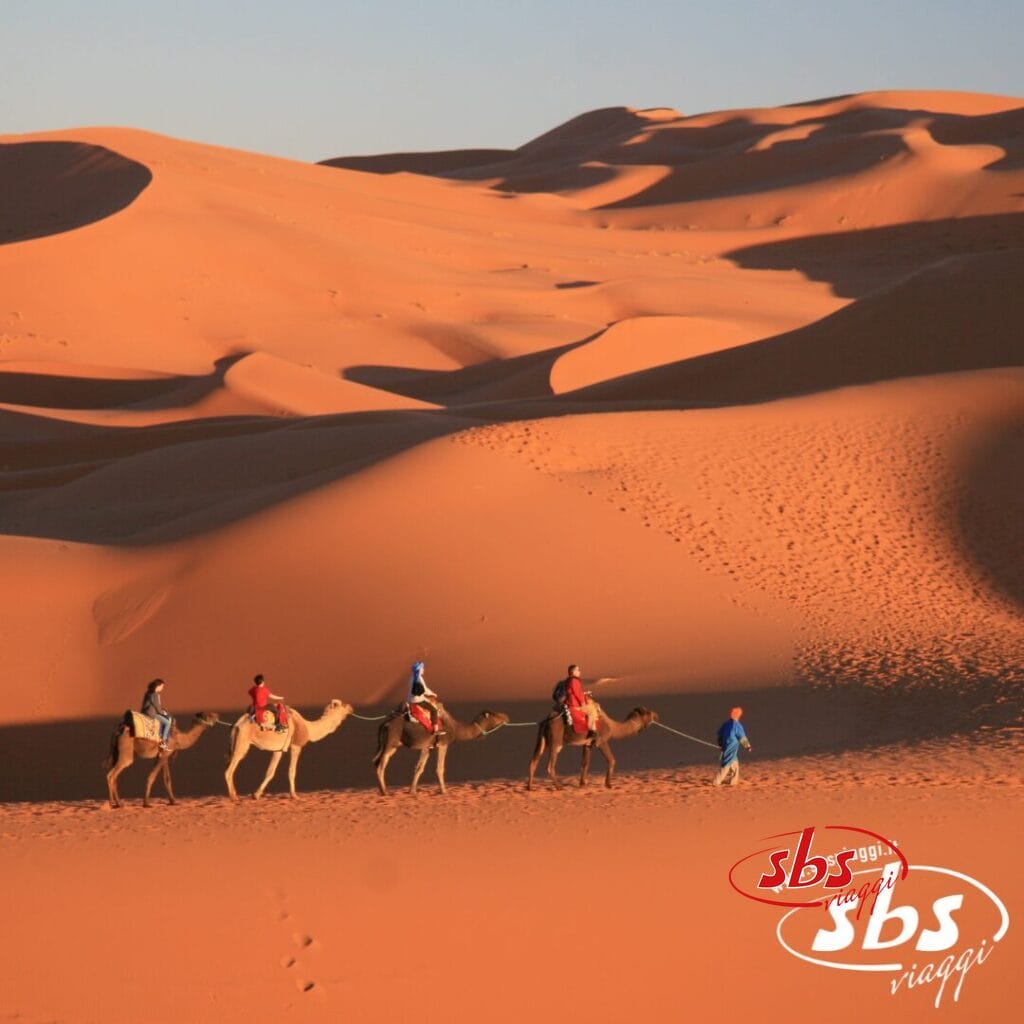 Cinque persone cavalcano i cammelli, guidate da una guida, attraverso le dune di sabbia arancione sotto un cielo limpido, catturando un vero e proprio Panorama Marocchino; è visibile il logo SBS Viaggi.