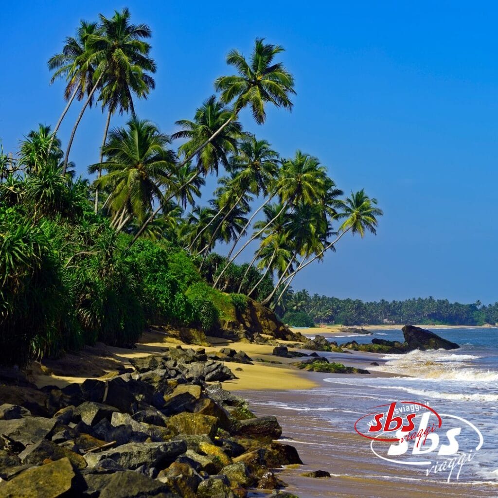 Spiaggia tropicale con alte palme, costa rocciosa, vegetazione verde e cielo azzurro: perfetta per un viaggio in Sri Lanka. Il logo 