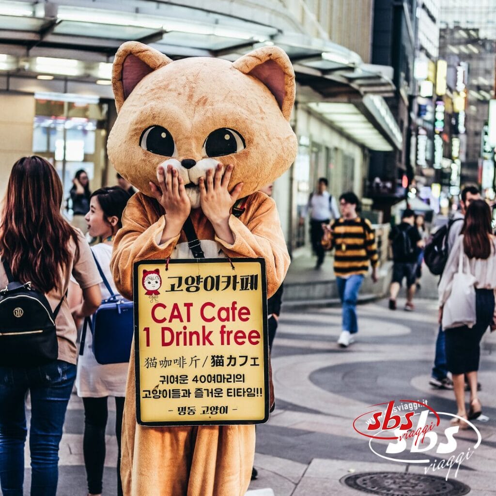 Un personaggio vestito da grande gatto è in piedi su una trafficata strada cittadina e regge un cartello che pubblicizza un bar per gatti con un'offerta di bevande gratuite in più lingue: perfetto per chi partecipa al Tour Corea del Sud e cerca esperienze uniche.