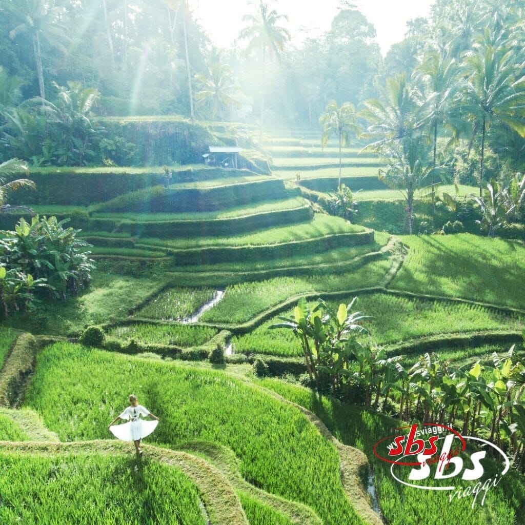 Una persona vestita di bianco è in piedi in mezzo a lussureggianti campi di riso terrazzati, con palme e luce del sole che filtra attraverso: una scena perfetta di Bali, pronta per il tuo prossimo post su Instagram.