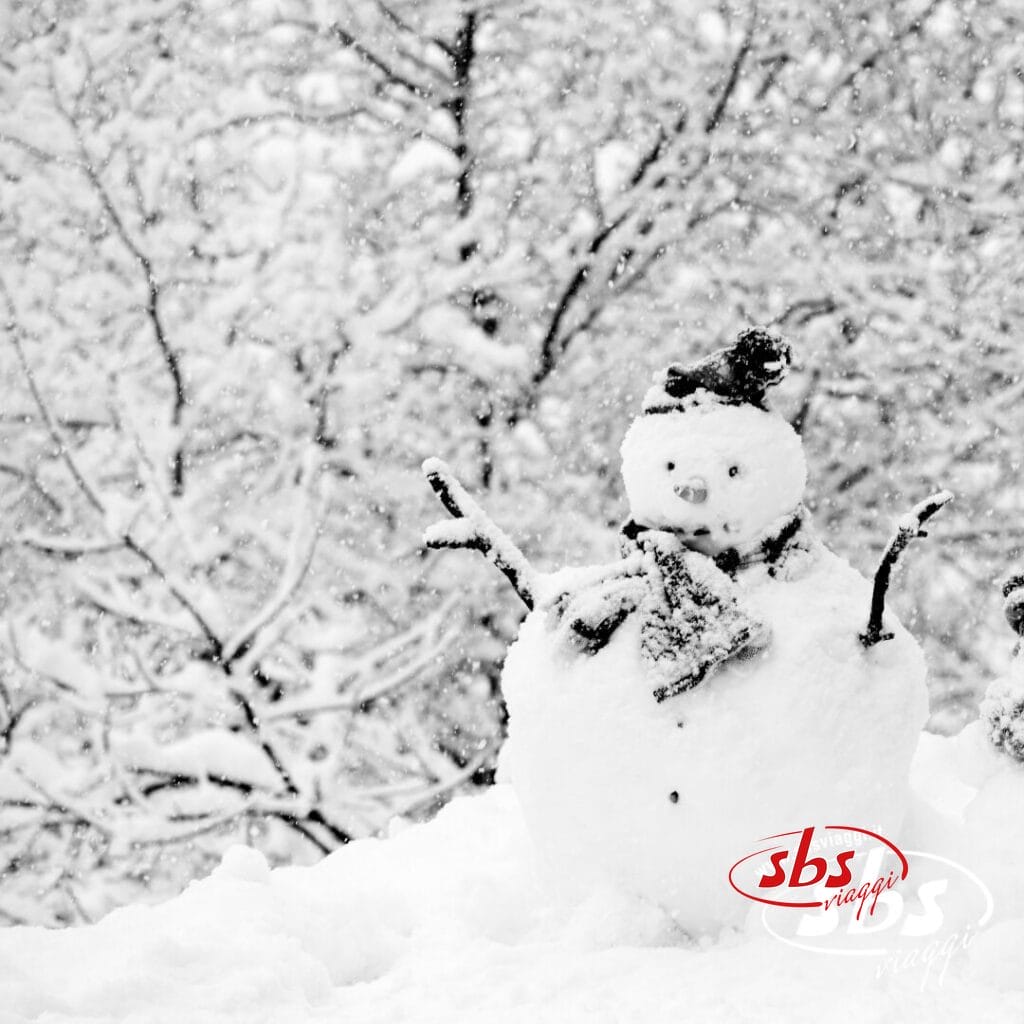 Un pupazzo di neve con braccia di legno, sciarpa e cappello è in piedi in un paesaggio innevato Incanto Boreale, mentre una leggera nevicata drappeggia gli alberi sullo sfondo.