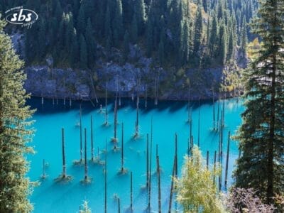 Un lago turchese con tronchi d'albero sommersi e una fitta foresta sempreverde sui pendii circostanti, dove la natura si fonde armoniosamente con le tradizioni.