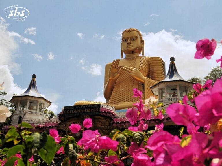 La grande statua dorata del Buddha nel Tempio d'Oro di Dambulla, Sri Lanka, circondata da fiori rosa e dagli edifici del tempio, è una tappa imperdibile di qualsiasi tour dello Sri Lanka per chi è alla ricerca di bellezza spirituale e meraviglie naturali.