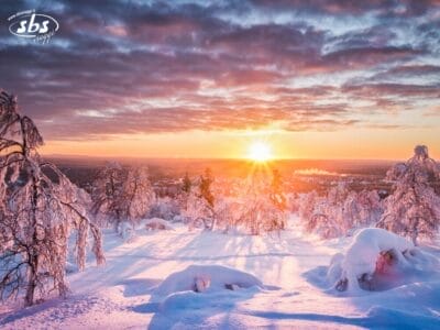 Alberi e paesaggi innevati sotto un cielo colorato al tramonto in Lapponia Svedese, con il sole parzialmente tramontato all'orizzonte e le ombre sulla neve: uno scenario incantevole, perfetto per un Capodanno in Lapponia o un tour di Luleå.