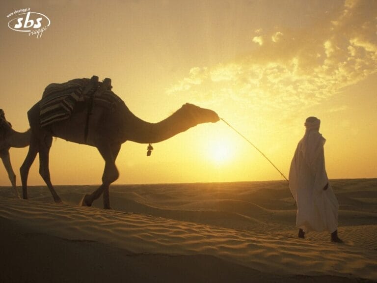 Una persona in abiti tradizionali conduce un cammello attraverso le dune di sabbia dorata della Tunisia al tramonto, sotto un cielo limpido, dirigendosi verso un'oasi.