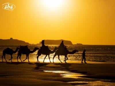 Sagome di persone a dorso di cammello lungo la spiaggia al tramonto, con l'oceano e le isole sullo sfondo: una scena che evoca il fascino dei tesori marocchini e dei Tesori del Marocco.