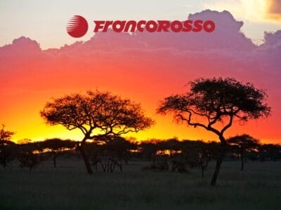 Silhouette di alberi di acacia al tramonto nei Parchi del Nord in Tanzania, con il logo rosso "Francorosso" che brilla nel cielo.