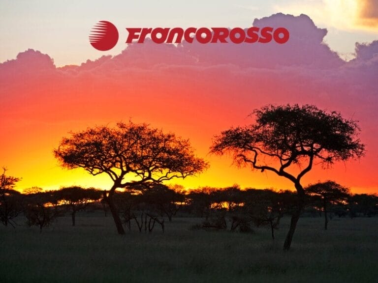 Silhouette di alberi di acacia al tramonto nei Parchi del Nord in Tanzania, con il logo rosso "Francorosso" che brilla nel cielo.